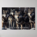 Search for wolves art Wall
