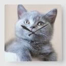 Search for selected baby kids Kitten