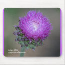 Search for thistle mousepads Flower