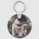 Search for dog breed rounded key rings Dogs