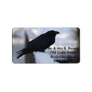 Search for blackbird return address labels Ravens