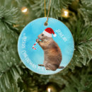 Search for red squirrel christmas tree decorations Funny