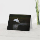 Search for trumpeter cards Swan