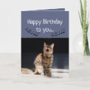 Search for cat birthday cards Humour