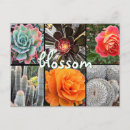Search for yellow blossoms postcards Floral