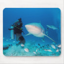 Search for sea mousepads Adventure