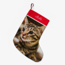 Search for tabby cat christmas stockings Animal