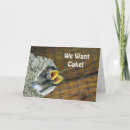 Search for swallow cards Baby birds