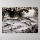 Search for vintage fly fishing art River