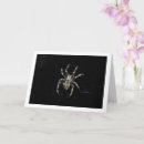 Search for orb web spiders Creepy