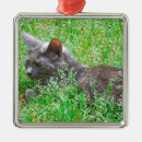 Search for tortoiseshell cat christmas tree decorations Kitty