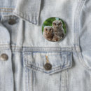 Search for young animal badges Owl