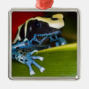 Search for dart christmas tree decorations Animal