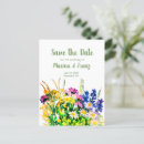 Search for painted daisies invitations Flowers