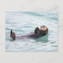 Search for float postcards Water