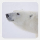 Search for manitoba stickers Fauna