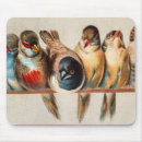 Search for swallows mousepads Cute