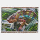 Search for chameleon blankets Wildlife