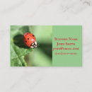 Search for lady bug photography Garden
