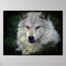 Search for wildlife support posters Timber wolf