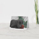 Search for christmas note cards Black
