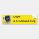 Search for foster bumper stickers Pets