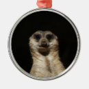 Search for meerkat christmas tree decorations Nature