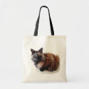 Search for tortoise shell cat Animals