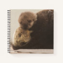 Search for otter notebooks Sea