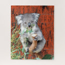 Search for koala puzzles Cuddly