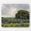 Search for tequila mousepads Distillation
