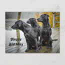 Search for black labrador retriever birthday cards Water