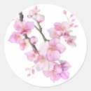 Search for blossom sakura stickers Minimalist