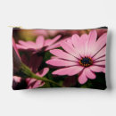 Search for african daisy accessories Floral