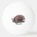 Search for dragons ping pong balls Lizard