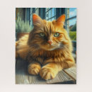 Search for ginger cat puzzles Cute
