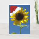 Search for sunflower christmas cards Summer