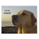 Search for labrador calendars Canine