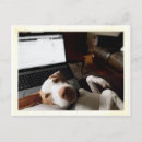 Search for attentive postcards Dog