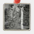 Search for creative christmas tree decorations Outdoors