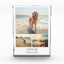 Search for dog memorial photo collage Cute