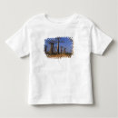 Search for baobab tshirts Vegetation