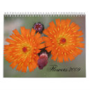 Search for macro office supplies Beautiful