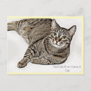 Search for tabbies postcards Pet