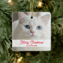 Search for eyes christmas tree decorations White