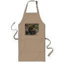 Search for frog aprons Amphibian