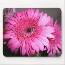 Search for flowers mousepads Daisy