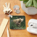 Search for cutest bear key rings Animals in the wild