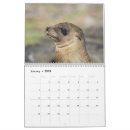 Search for galapagos calendars Nature