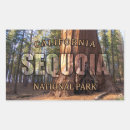 Search for california shape stickers Trees